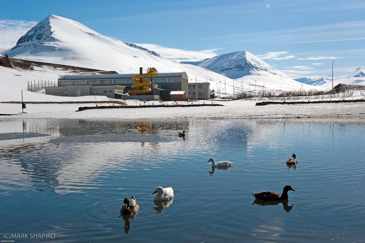 The Northern Comfort Inn Olafsfjordur Екстер'єр фото